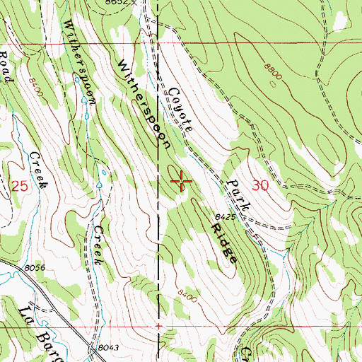 Topographic Map of Witherspoon Ridge, WY