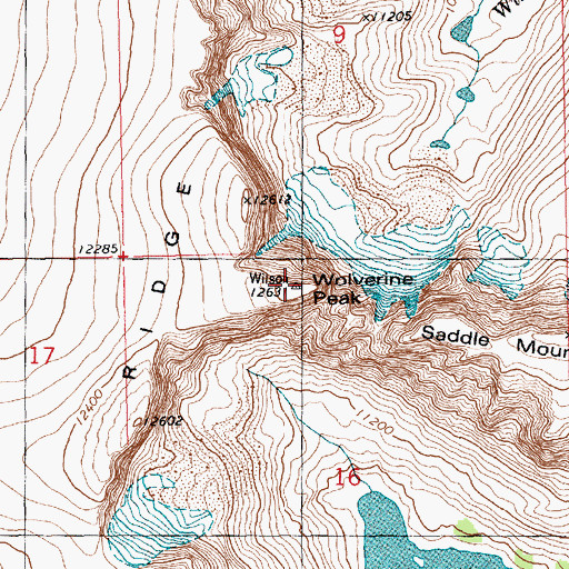 Topographic Map of Wolverine Peak, WY