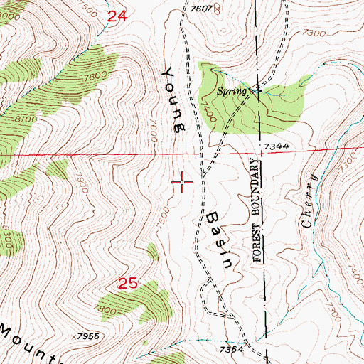 Topographic Map of Young Basin, WY