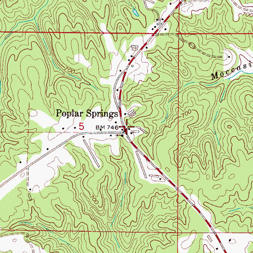 Topographic Map of Poplar Springs, AL