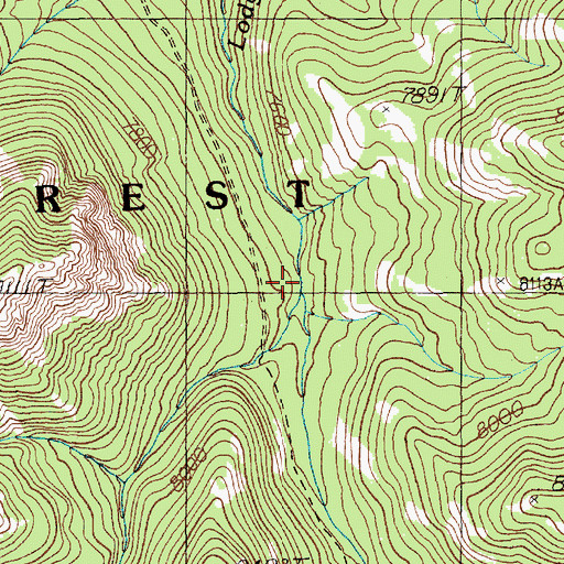 Topographic Map of Wolverine Creek, WY