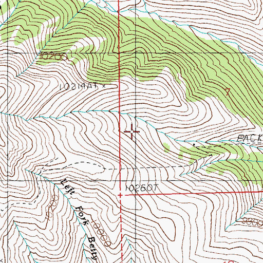 Topographic Map of Betty Cabin, WY