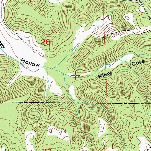 Topographic Map of Riley Cove, AL