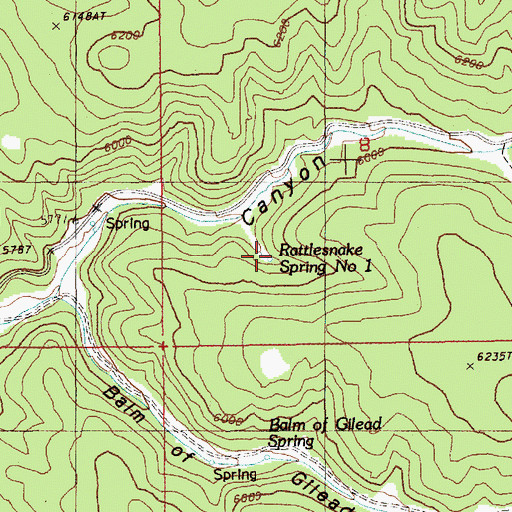 Topographic Map of Rattlesnake Spring Number 1, WY