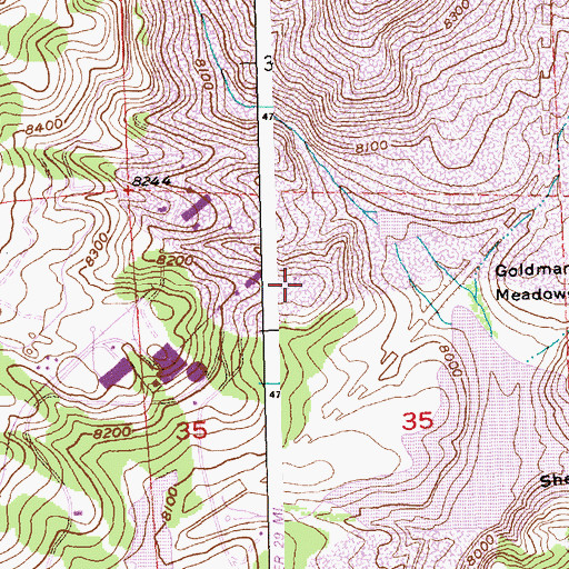 Topographic Map of South Pass Ski Tow, WY