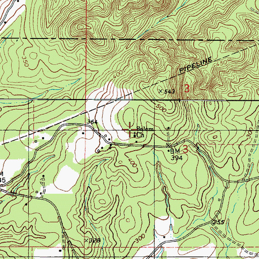 Topographic Map of Salem Church, AL