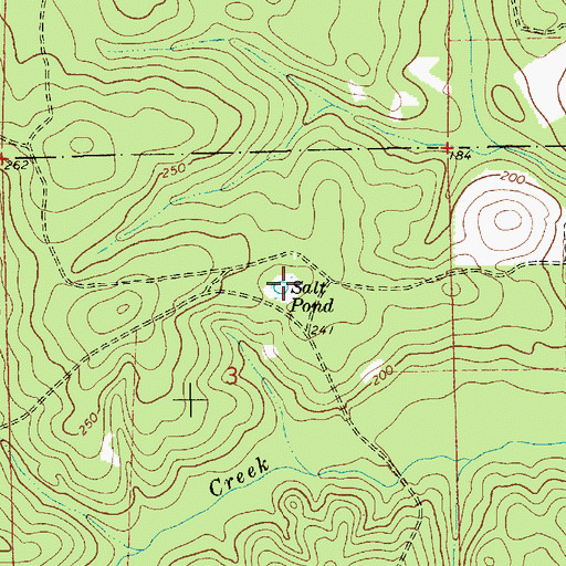 Topographic Map of Salt Pond, AL