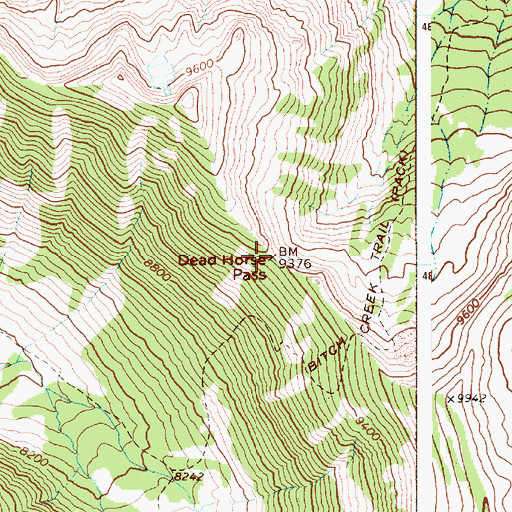 Topographic Map of Dead Horse Pass, WY