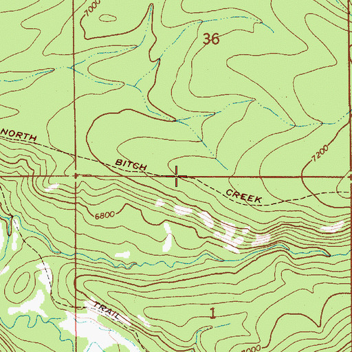 Topographic Map of North Bitch Creek Trail, WY