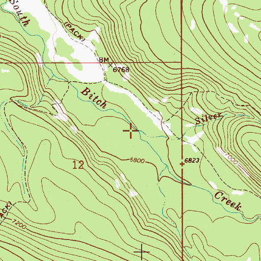 Topographic Map of Silver Creek, WY