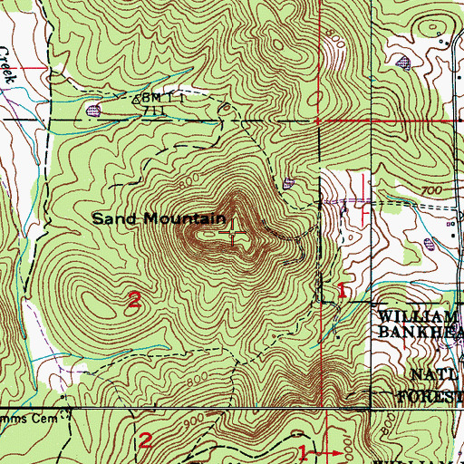 Topographic Map of Sand Mountain, AL