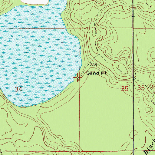Topographic Map of Sand Point, AL