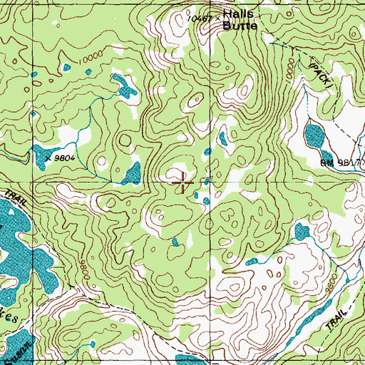 Topographic Map of Firehole Trail, WY