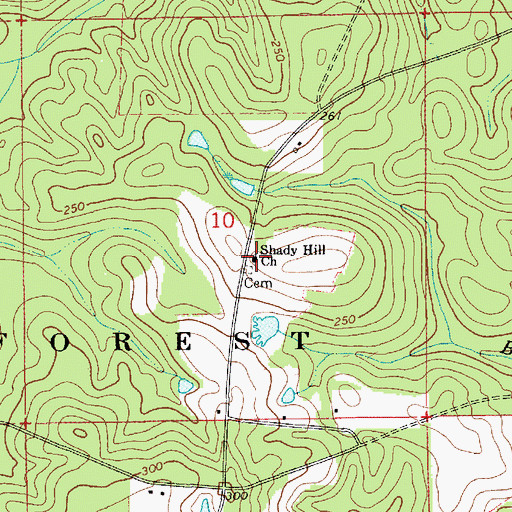 Topographic Map of Shady Hill Church, AL