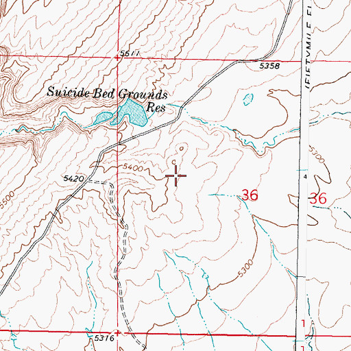 Topographic Map of Suicide Dam, WY