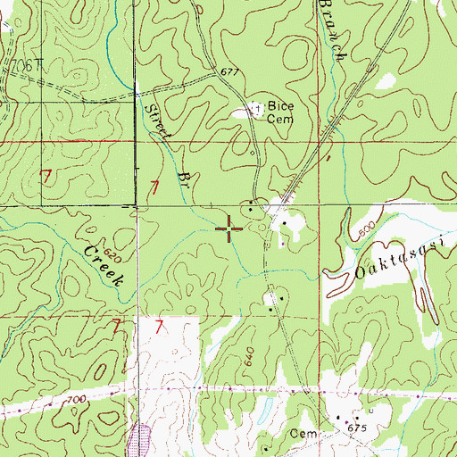 Topographic Map of Street Branch, AL