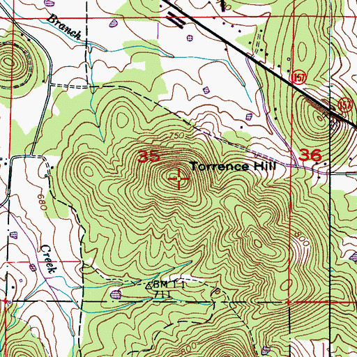 Topographic Map of Torrence Hill, AL
