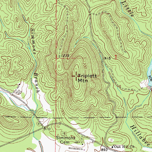 Topographic Map of Triplett Mountain, AL