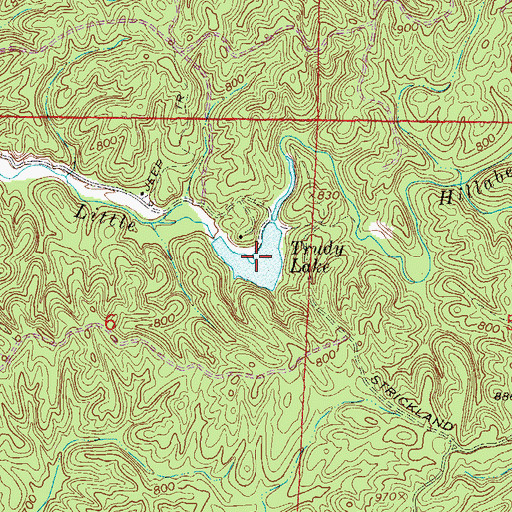 Topographic Map of Trudy Lake, AL