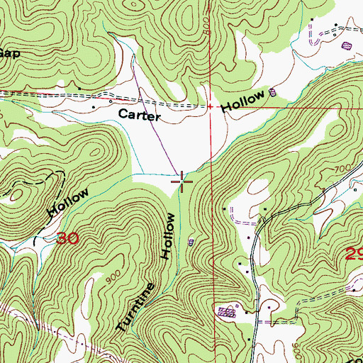 Topographic Map of Turntine Hollow, AL