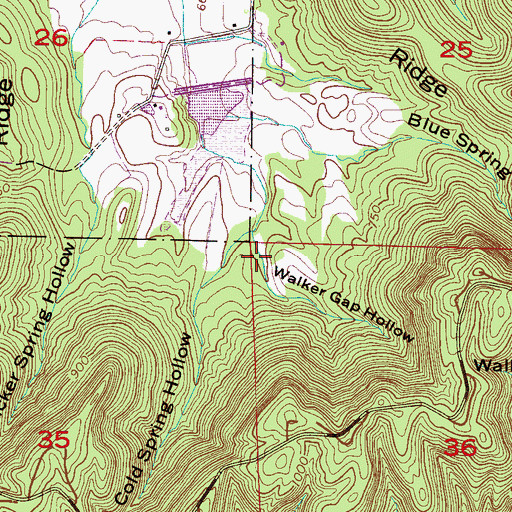 Topographic Map of Walker Gap Hollow, AL
