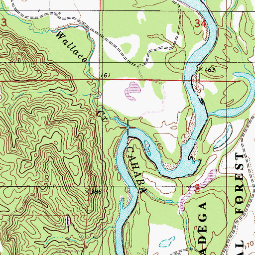 Topographic Map of Wallace Creek, AL