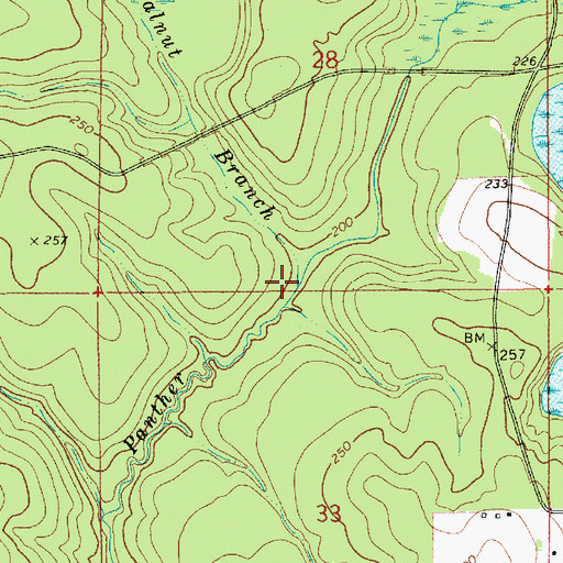 Topographic Map of Walnut Branch, AL