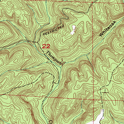 Topographic Map of Whiteoak Hollow, AL
