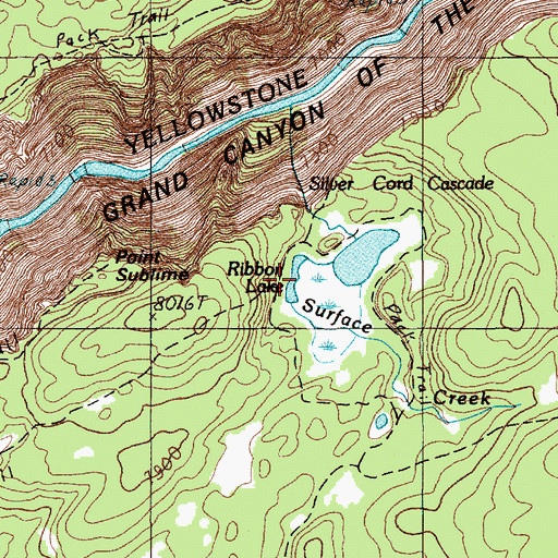Topographic Map of Ribbon Lake, WY