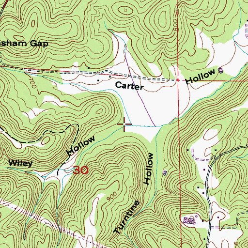 Topographic Map of Wiley Hollow, AL