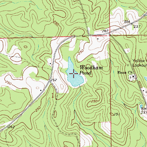 Topographic Map of Woodham Pond, AL