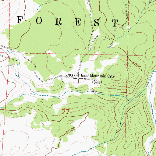 Topographic Map of Bald Mountain City, WY