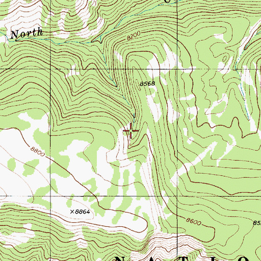Topographic Map of Bridger National Forest, WY