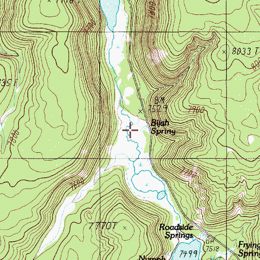 Topographic Map of Bijah Spring, WY