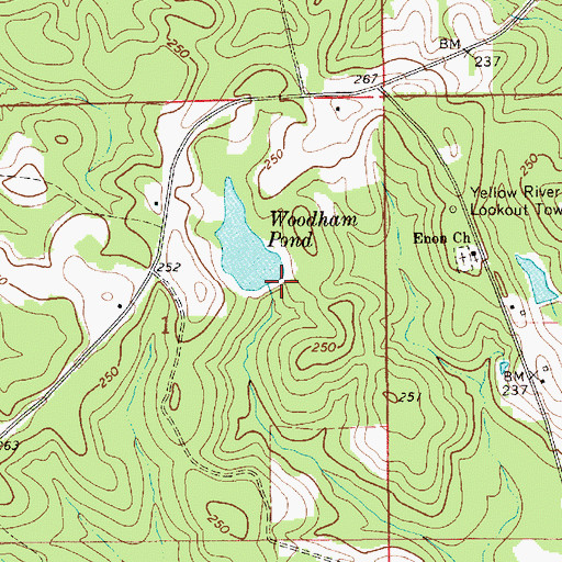 Topographic Map of Charles Woodham Lake Dam, AL