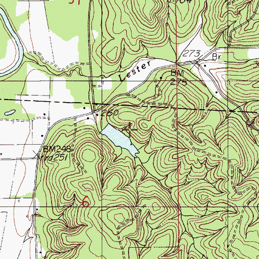 Topographic Map of Pickering Lake, AL