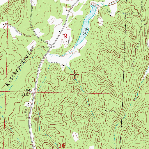 Topographic Map of Bonner Lake, AL
