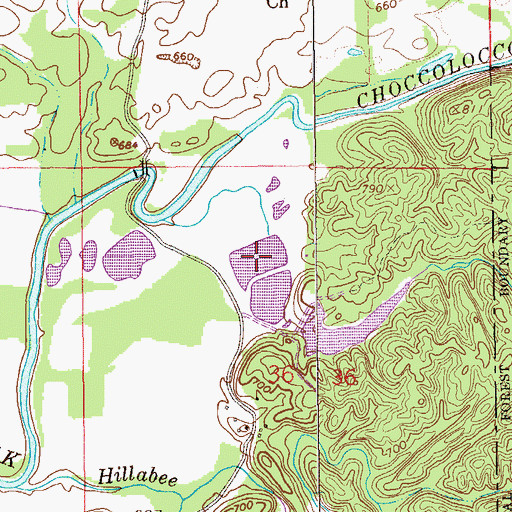 Topographic Map of Rushs Lake, AL