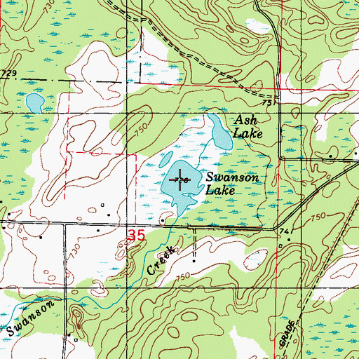 Topographic Map of Swanson Lake, MI