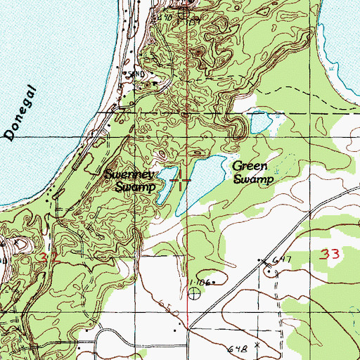 Topographic Map of Swenney Swamp, MI