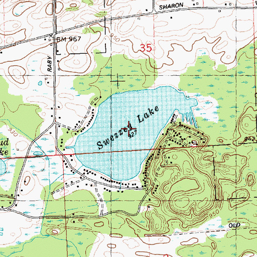 Topographic Map of Sweezey lake, MI