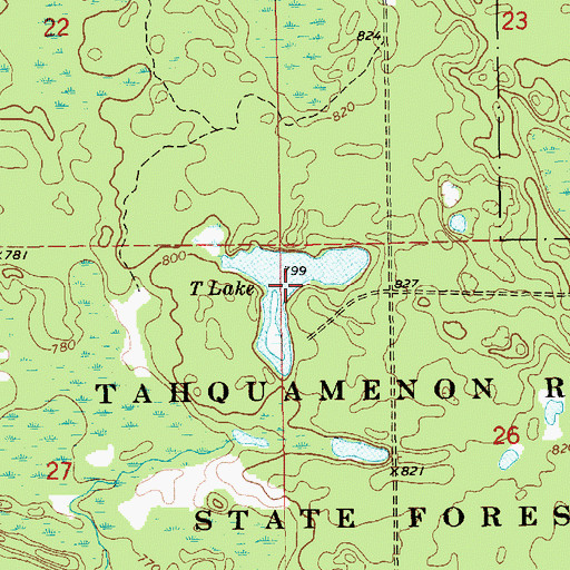 Topographic Map of T Lake, MI