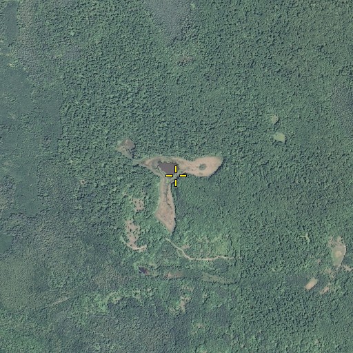 Aerial/Satellite Image of T Lake, MI