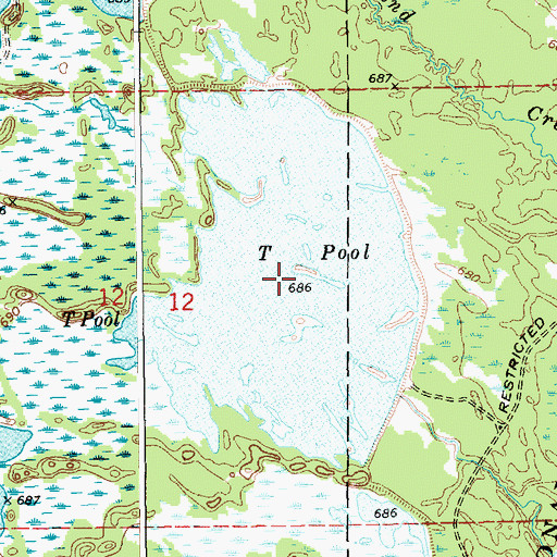 Topographic Map of T Pool, MI
