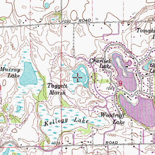 Topographic Map of Taggett Marsh, MI