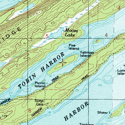 Topographic Map of Tallman Island, MI