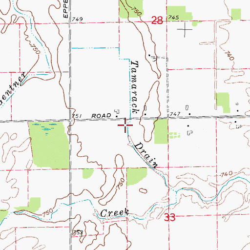 Topographic Map of Tamarack Drain, MI