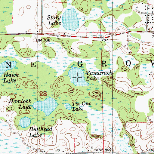 Topographic Map of Tamarack Lake, MI