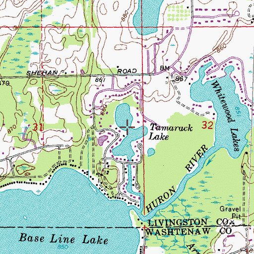Topographic Map of Tamarack Lake, MI
