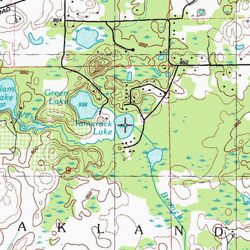 Topographic Map of Tamarack Lake, MI